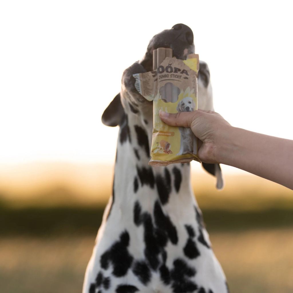 Soopa Jumbo Stick Banane Erdnussbutter - vegane Kauartikel Hund Fairtails