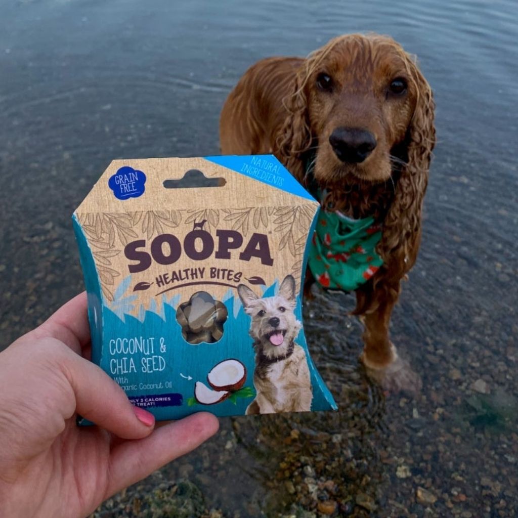 Soopa Healthy Bites Coconut & Chia Seed Vegane Hundeleckerli - Fairtails