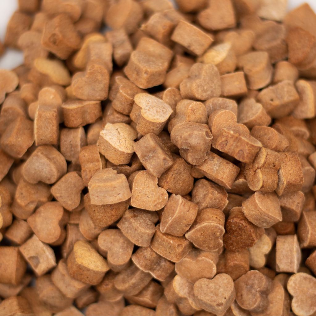 Vegane Hundeleckerli Hundekekse mit Apfel und Himbeere bei Fairtail