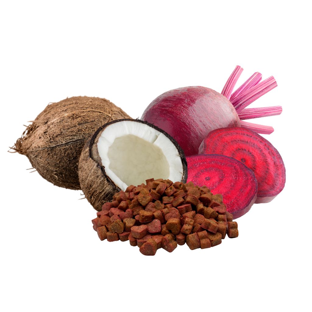 Vegane Hundeleckerli mit Kokos und Rote Beete bei Fairtails