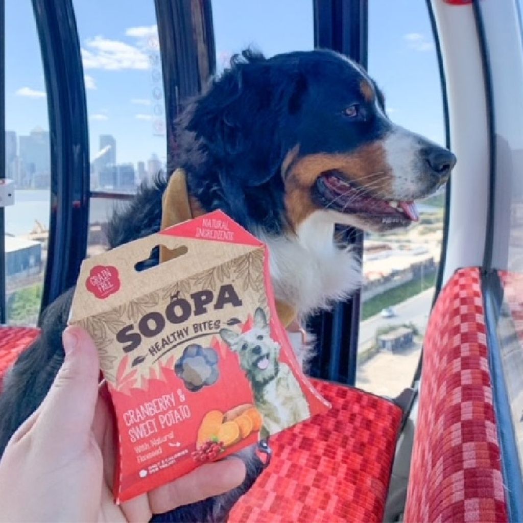 Soopa Healthy Bites Cranberry & Sweet Potato Vegane Hundeleckerli - Fairtails