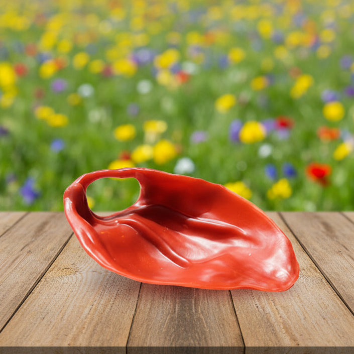 Vegane Kausnacks für Hunde Miro & Makauri Geräuchertes Schweineohr bei Fairtails