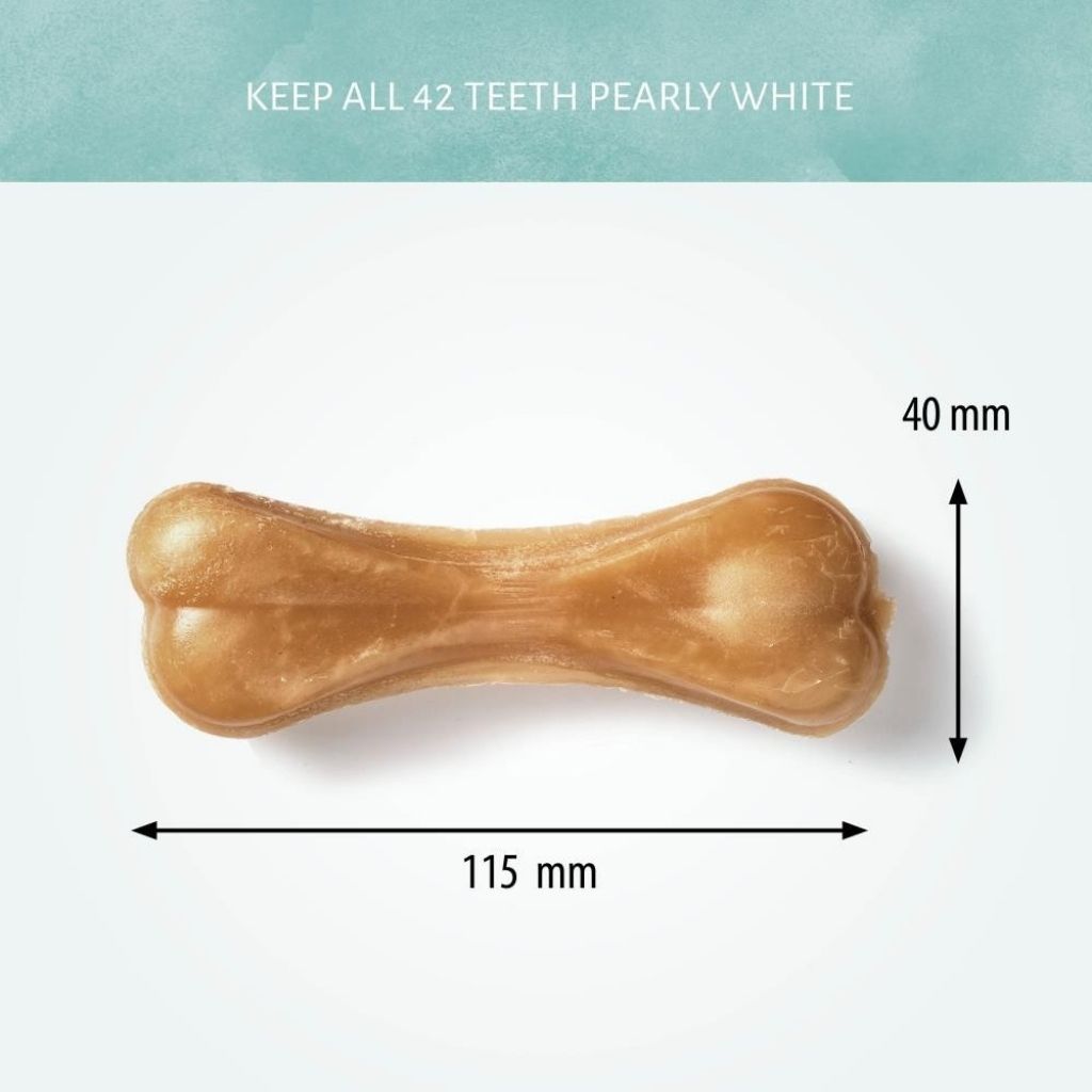 ANTOS CEREA Reisknochen - veganer Kaukochen Hund | Fairtails