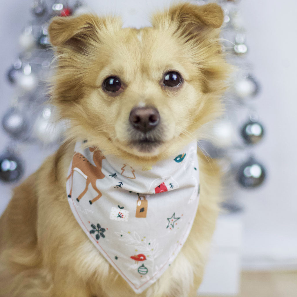 Wendehalstuch "Merry Pawmas" - FairTails