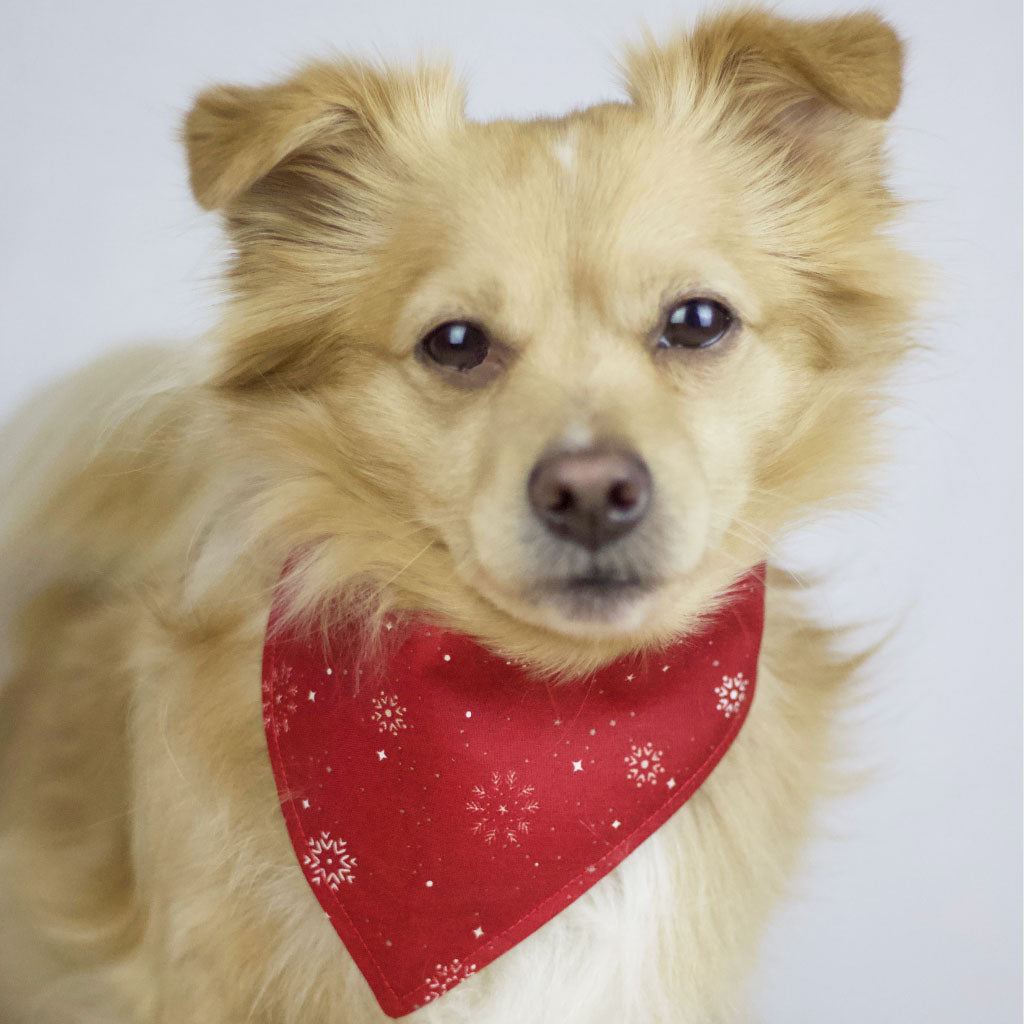 Wendehalstuch "Merry Pawmas" - FairTails