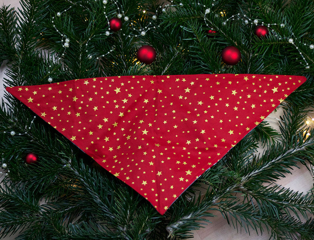 Wendehalstuch "Jolly Foxy" - FairTails