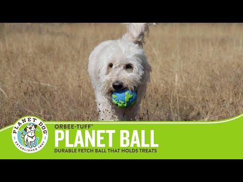 Orbee Tuff Ball - nachhaltiges Hundespielzeug bei Fairtails