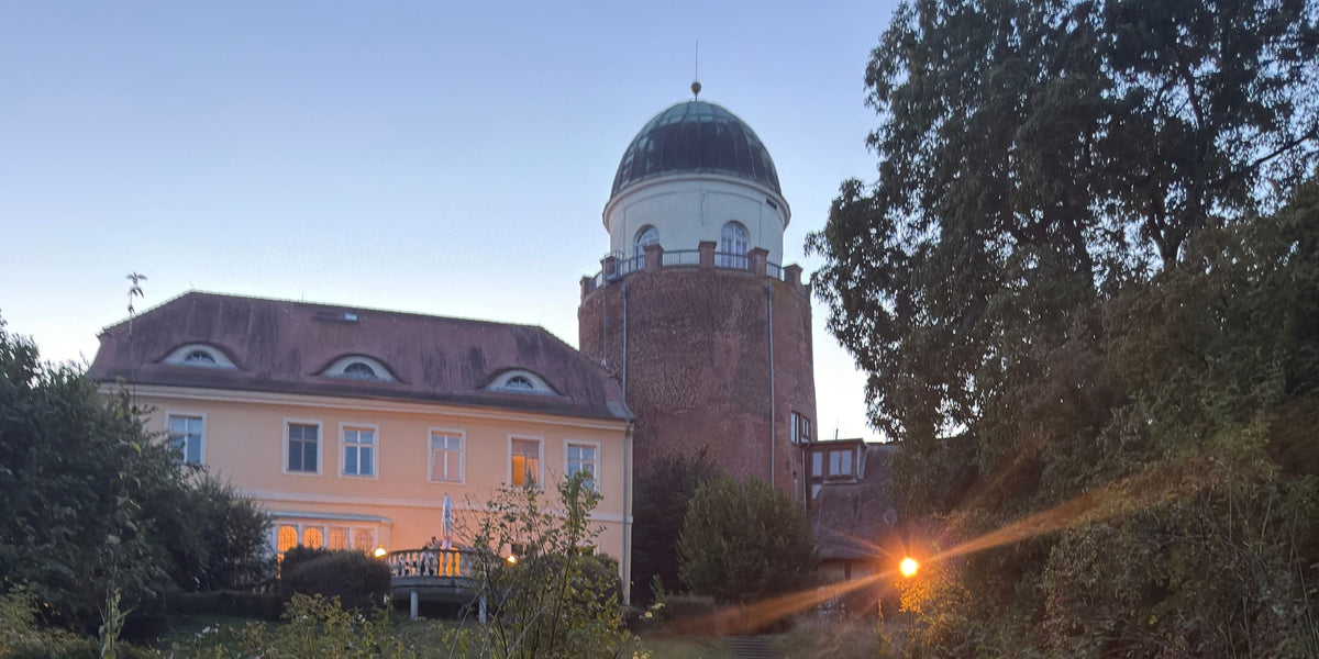 Vegan reisen mit Hund – unsere Erfahrung im ahead burghotel Lenzen