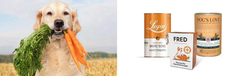 Bio Morosche Suppe, Karottensuppe für Hunde Leyen, Fred und Felia, Dog´s Love bei Fairtails