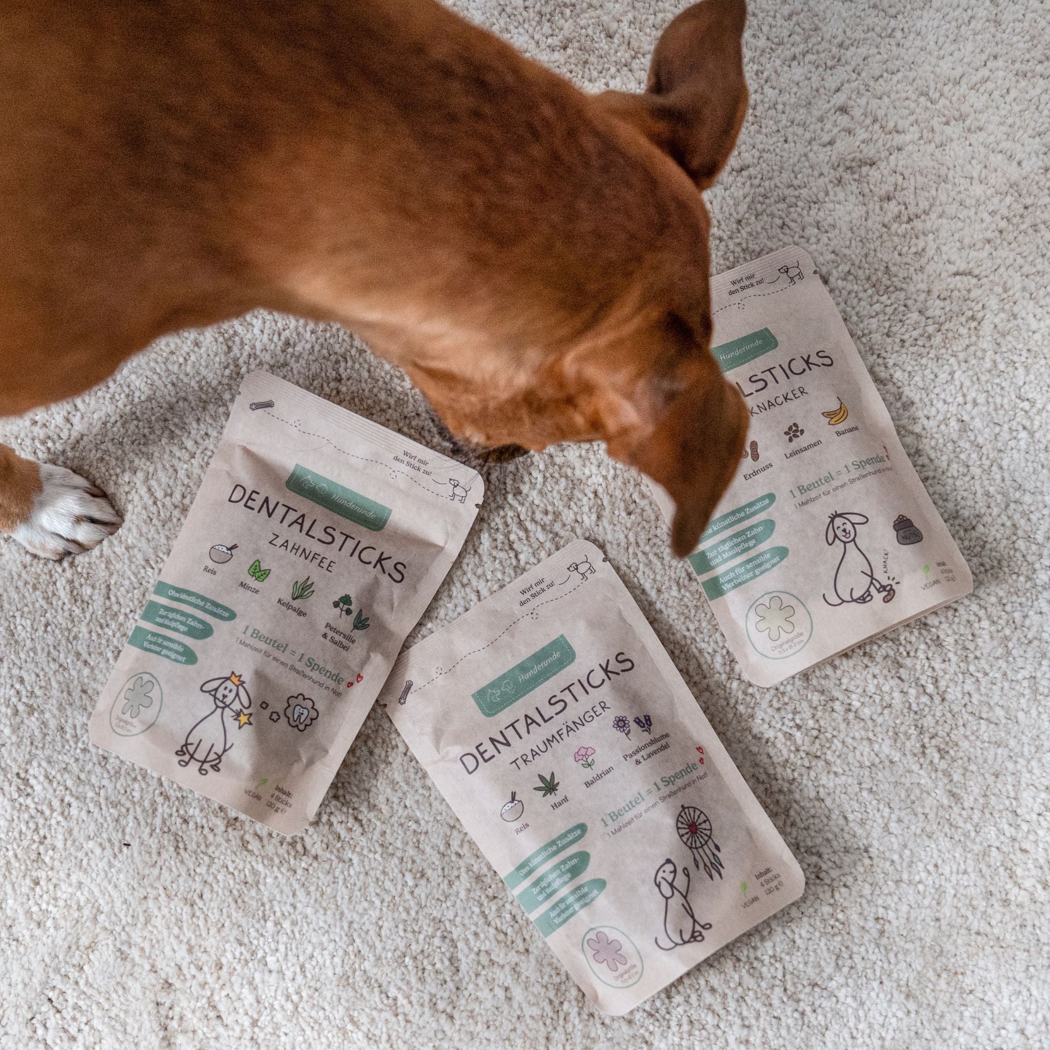 Hunderunde Dental Bundle - vegane Hundesticks