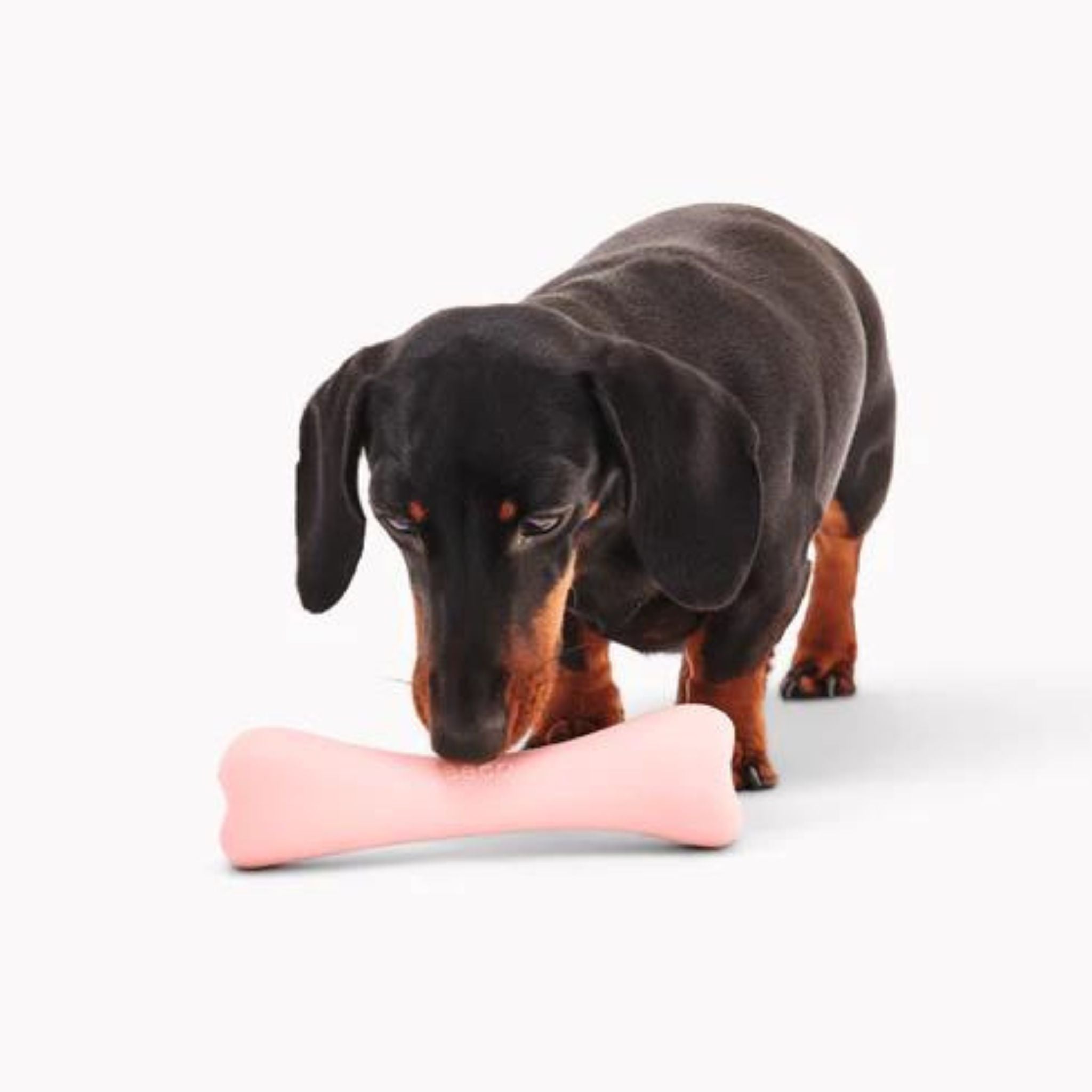 BECO PETS Beco Bone - befüllbares Hundespielzeug aus Naturkautschuk