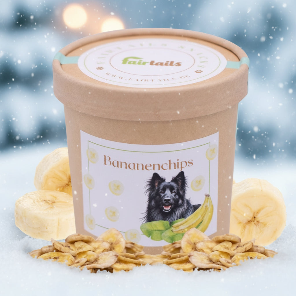 Bananenchips vegane Hundeleckerli bei Fairtails
