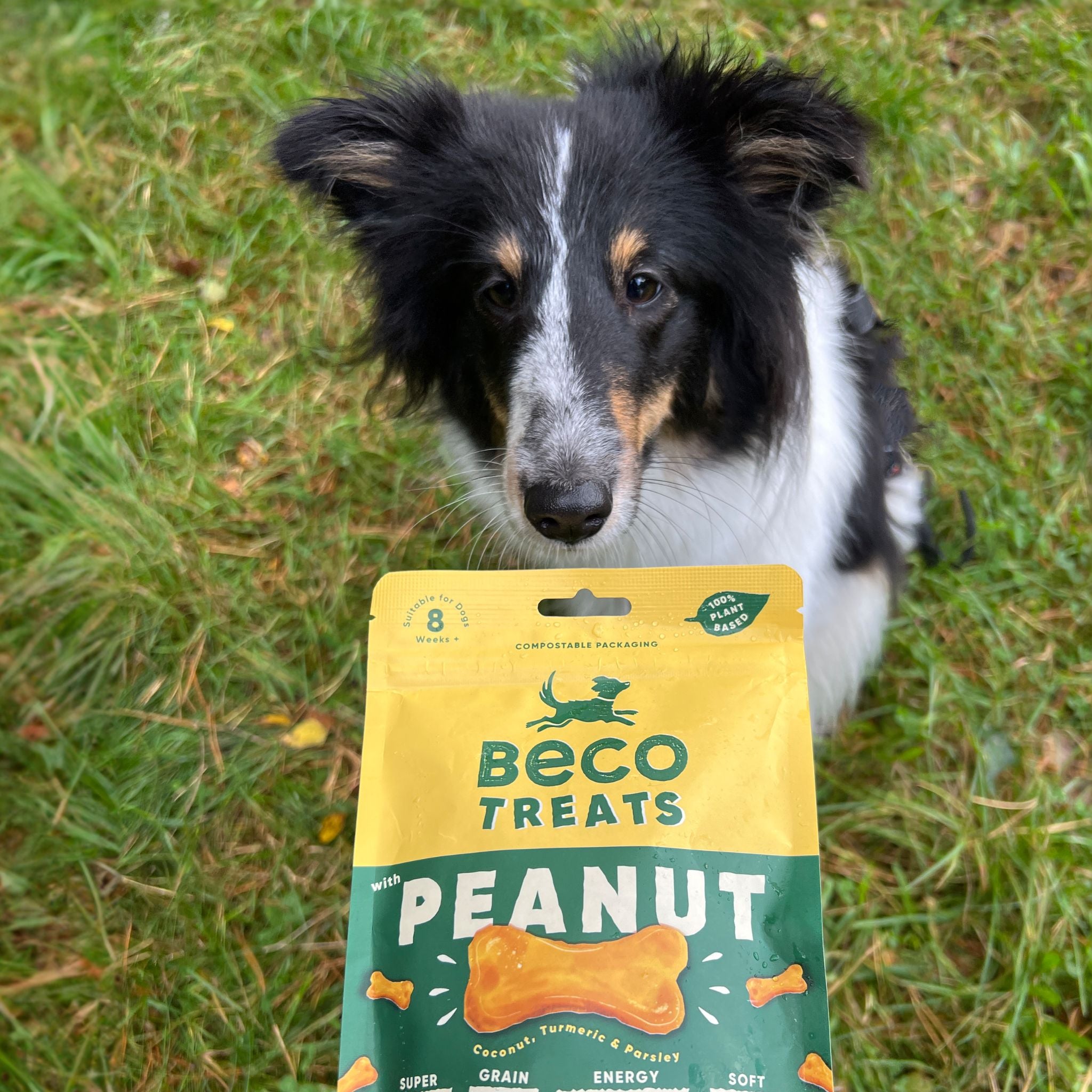 Vegane Hundeleckerli Beco Pets Erdnussbutter Leckerli
