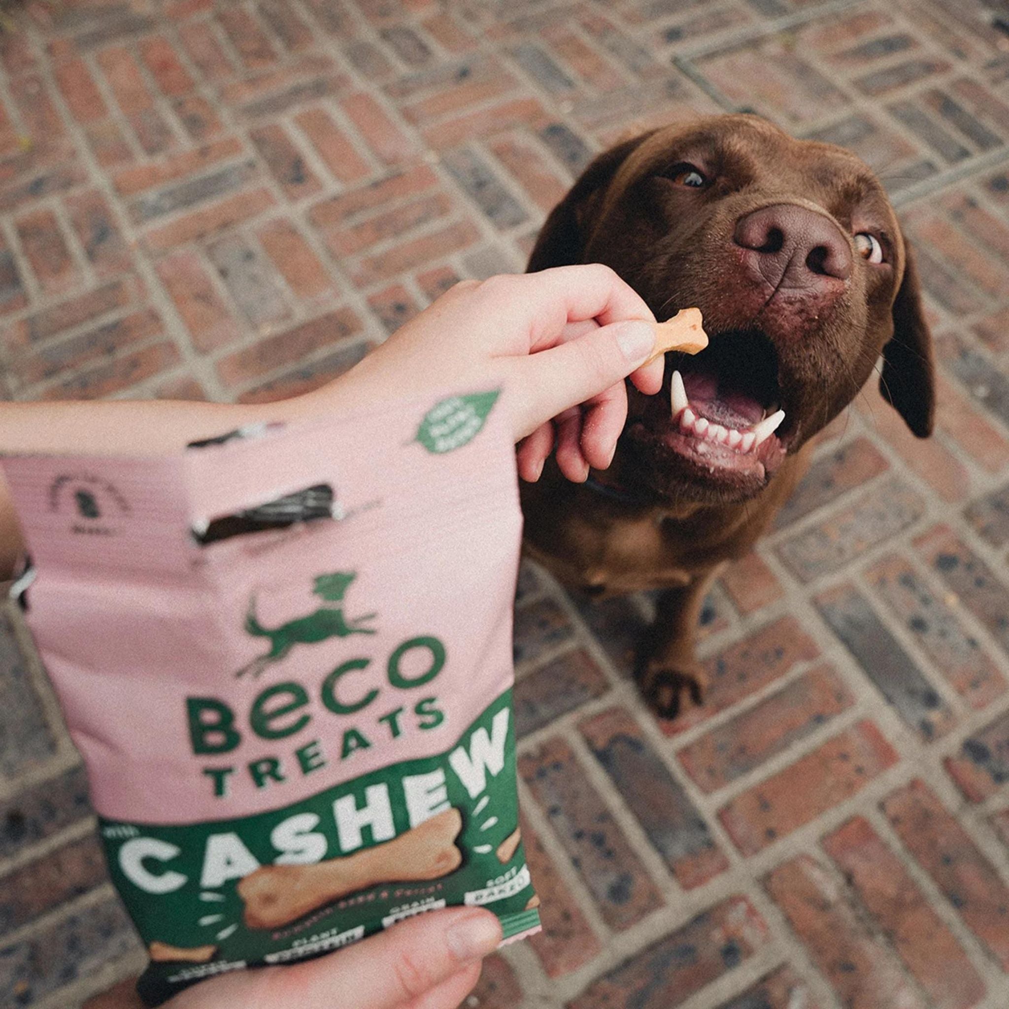 Vegane Hundeleckerli Beco Pets / Hundeleckerlis bei Fairtails