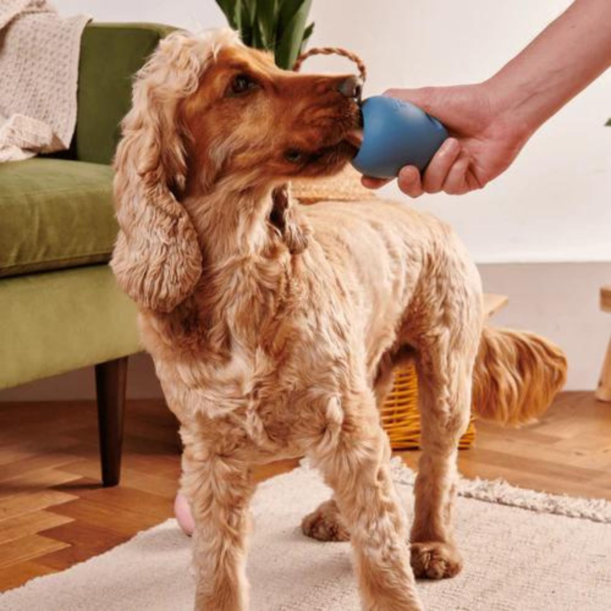 Beco Pets Boredom Buster Grün - befüllbares Hundespielzeug aus Naturkautschuk