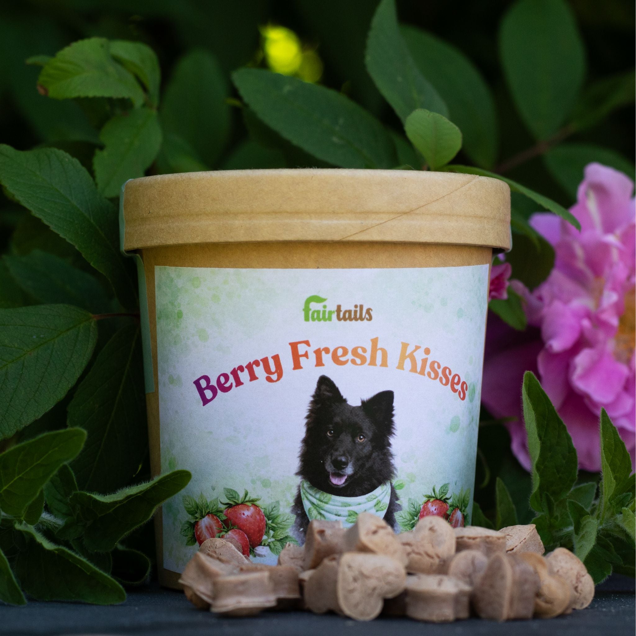 Fairtails vegane Hundekekse mit Erdbeere und Minze