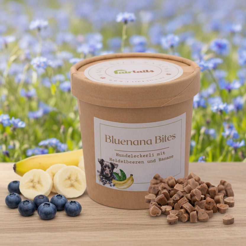 Vegane Hundeleckerli mit Banane und Apfel bei Fairtails