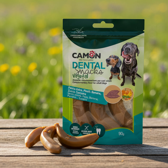 Camon Bananen - vegane Kausnacks (90g)