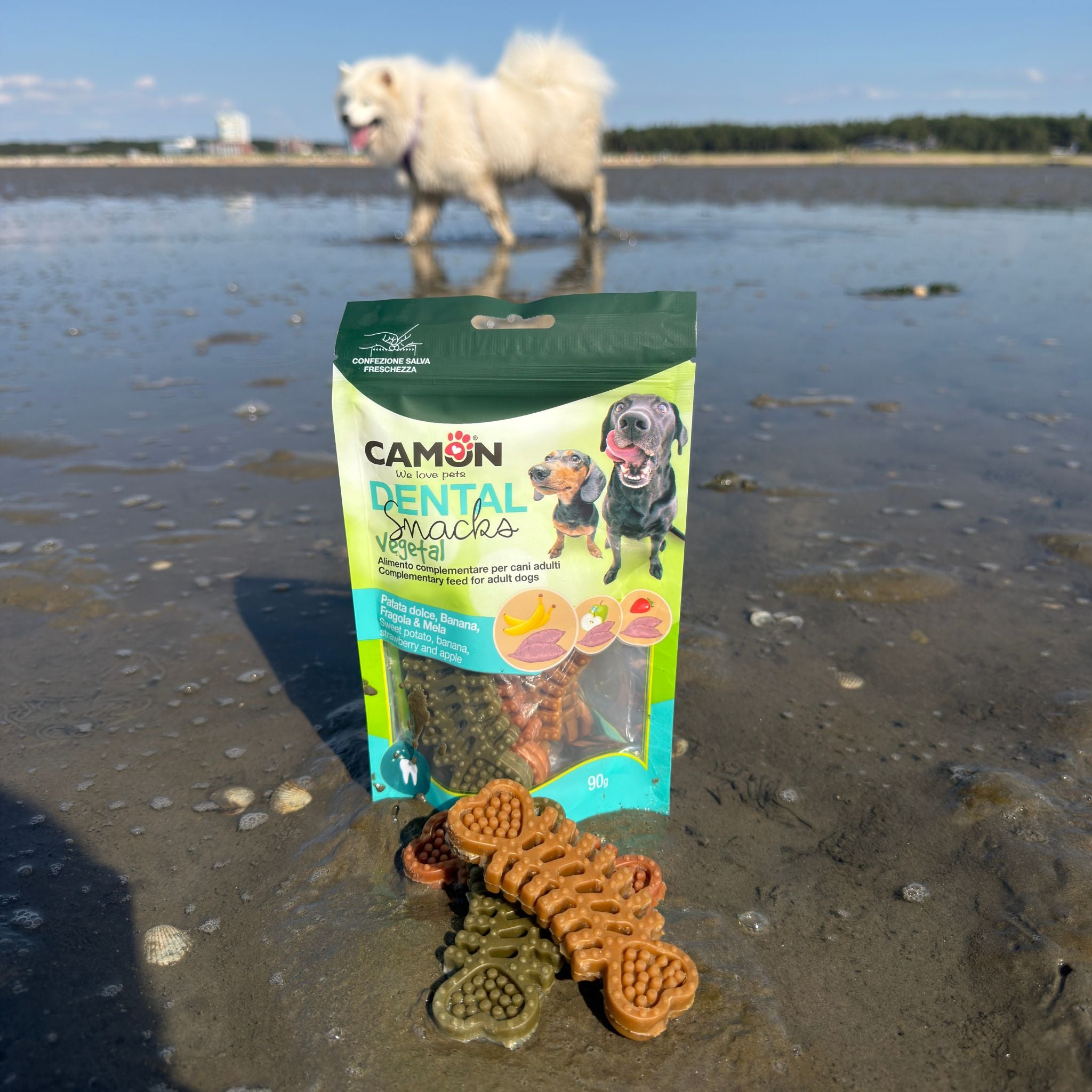 Camon Fischgräten - vegane Kausnacks bei Fairtails