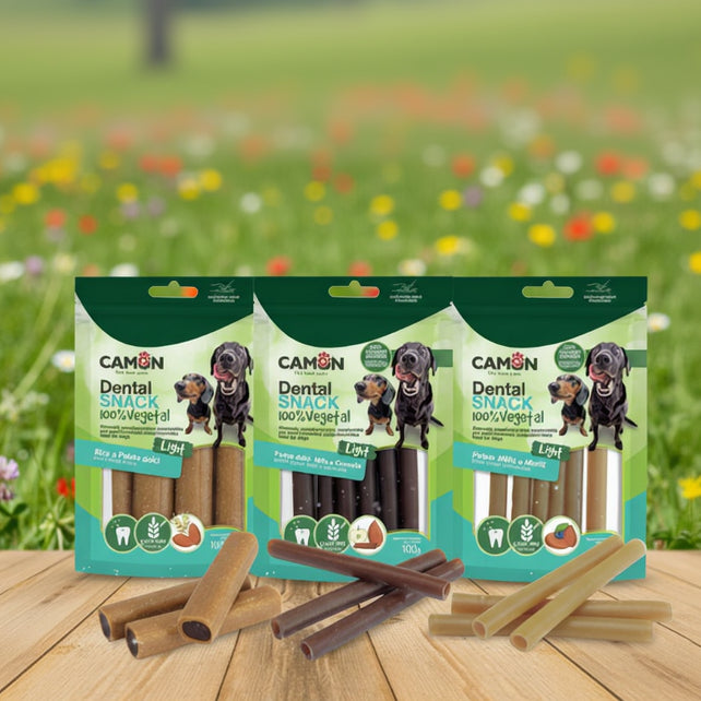Vegane Kausticks Fairtails 