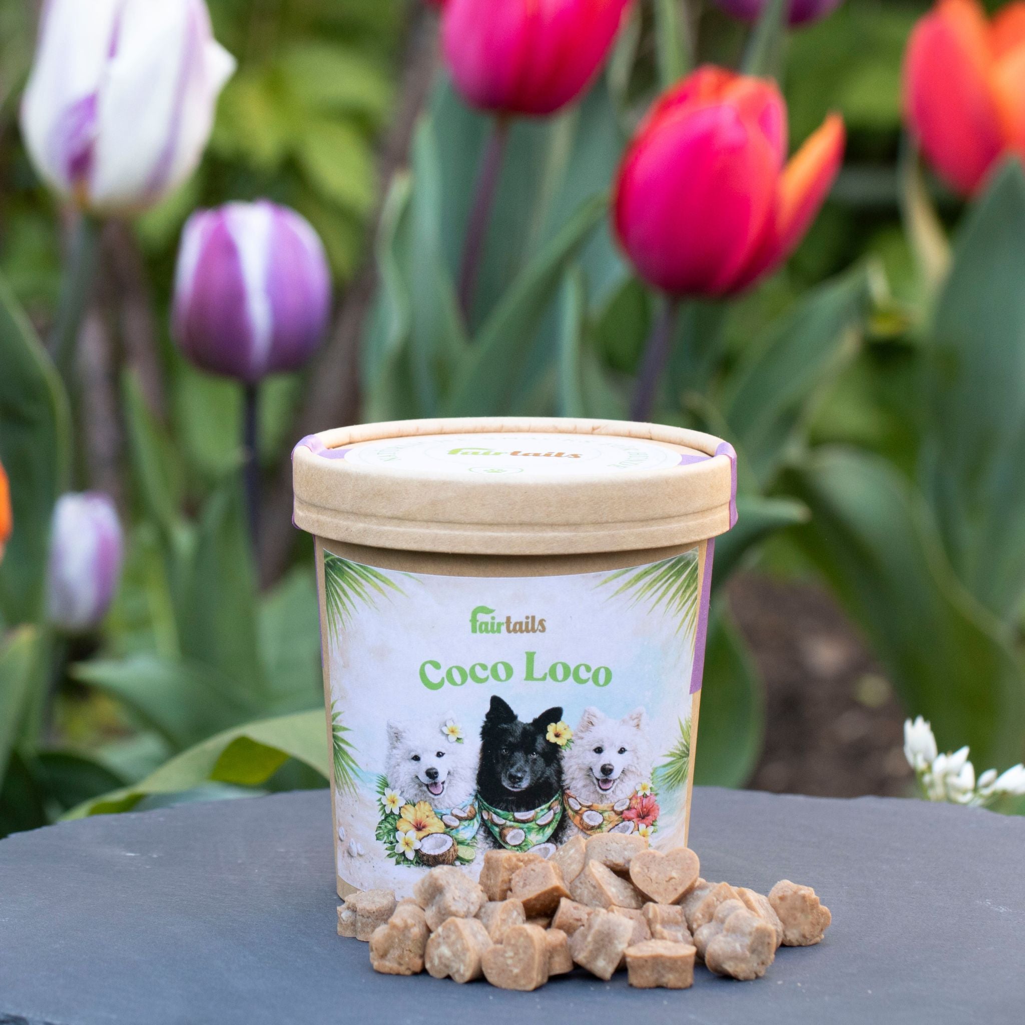Fairtails Coco Loco - Vegane Hundeleckerli mit Kokos