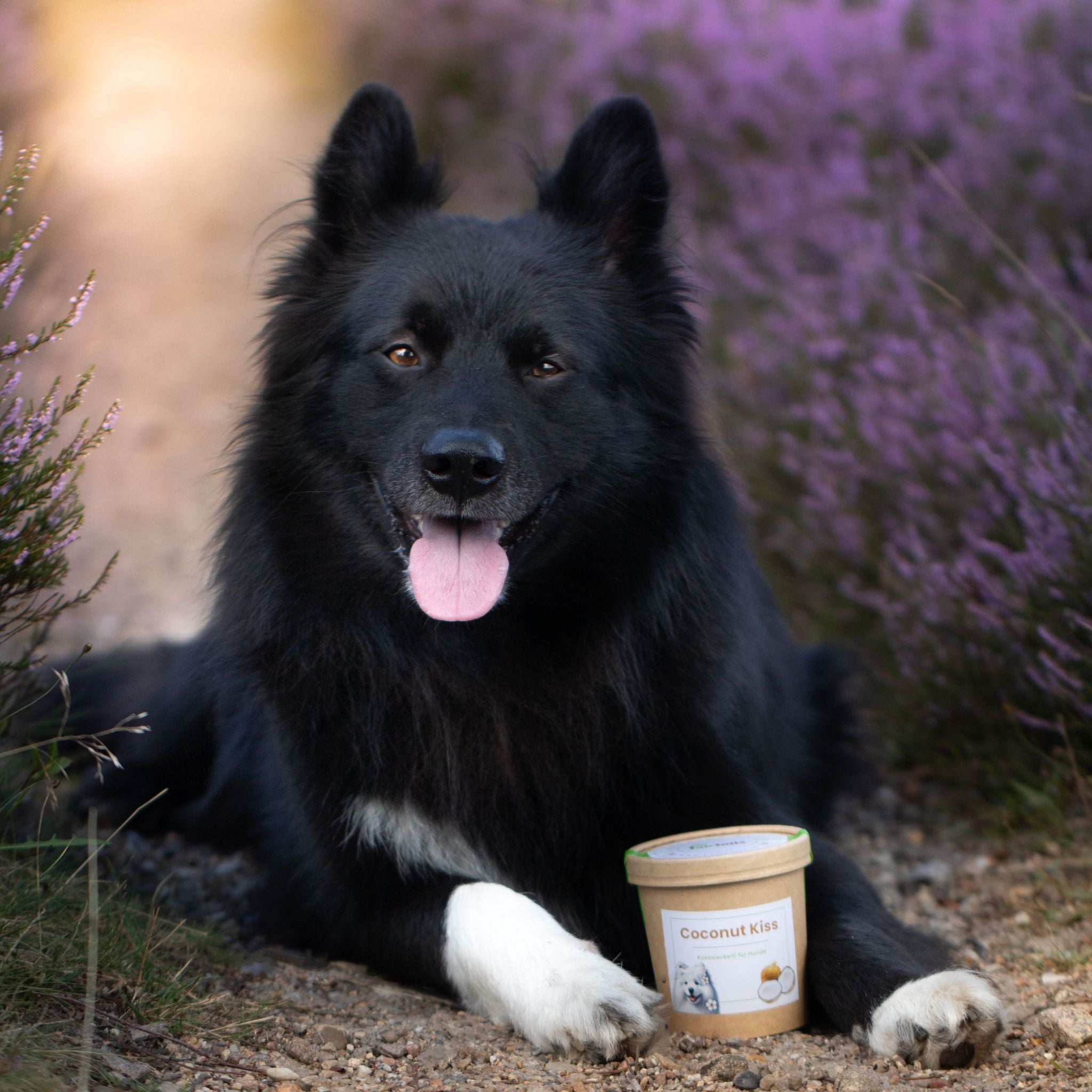 Kokosleckerli Hund - Natürliche Hundeleckerli Fairtails