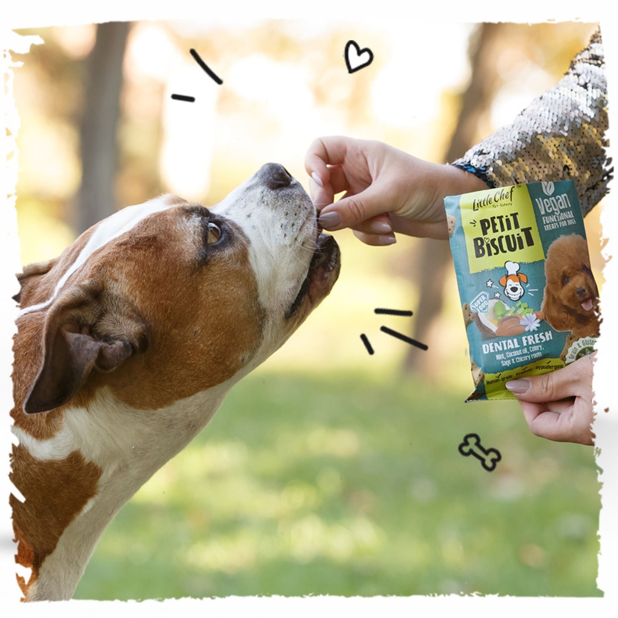 Little Chef Dental Fresh - Hundekekse mit Kokos und Kräutern