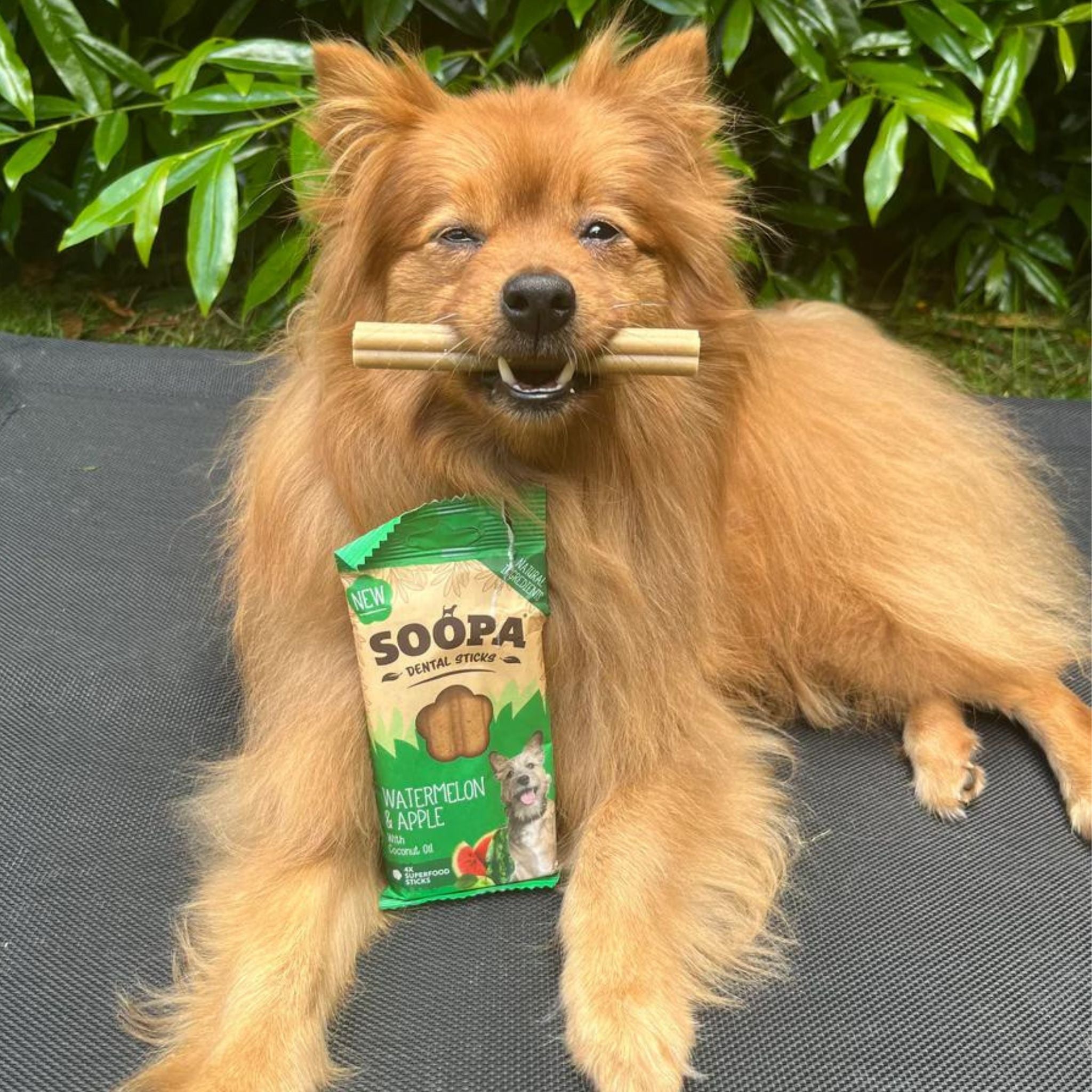 Soopa Pets Dental Sticks - vegane Kausticks mit Wassermelone und Apfel