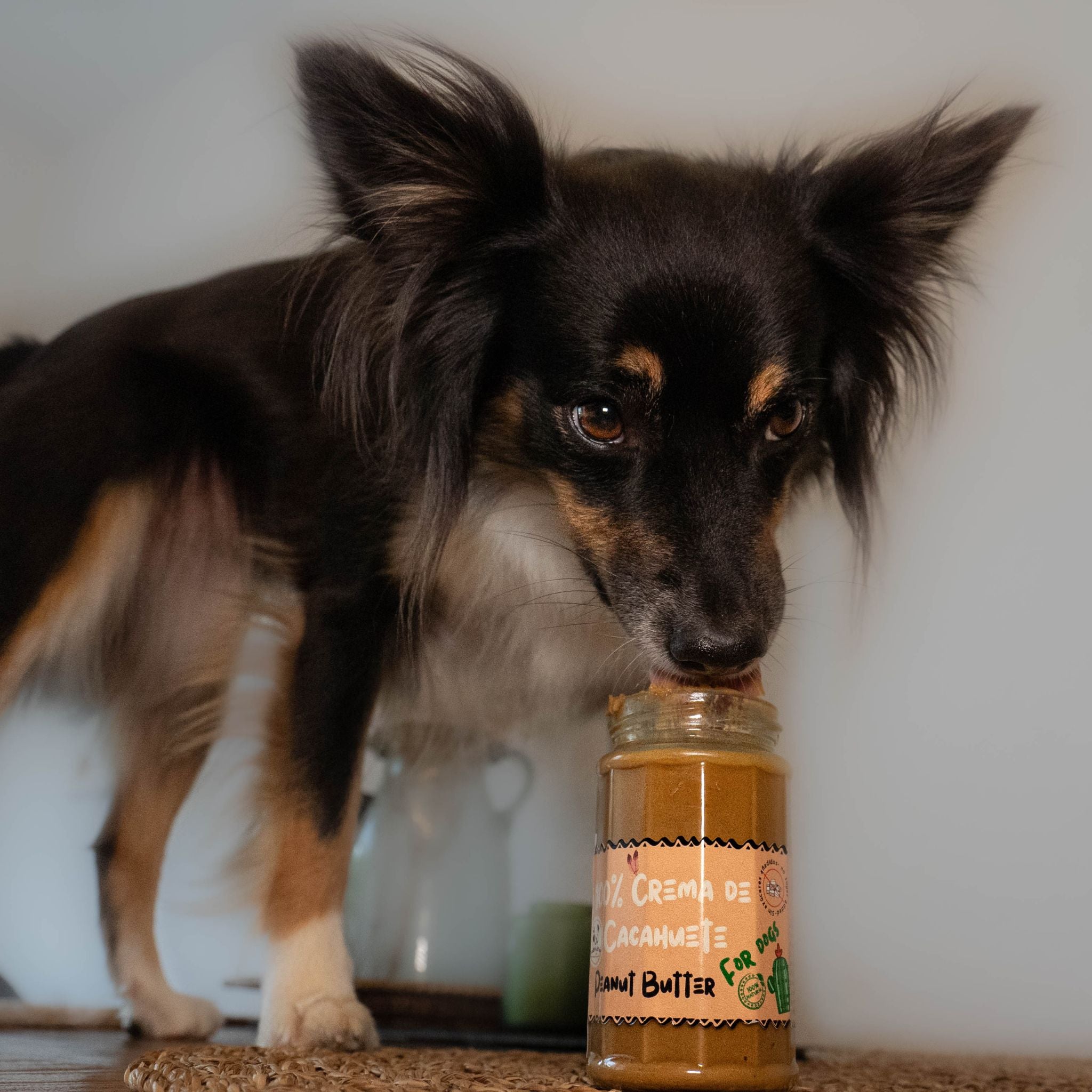 Erdnussbutter für Hunde, vegane Hundeleckerei bei Fairtails