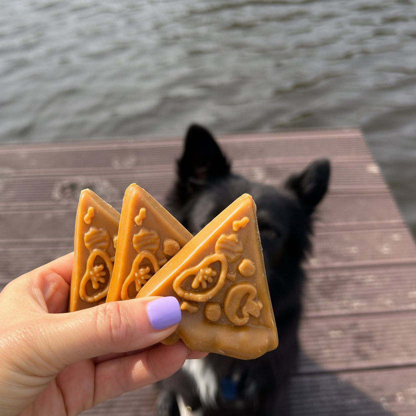 Pawgarita - Pizza für Hunde