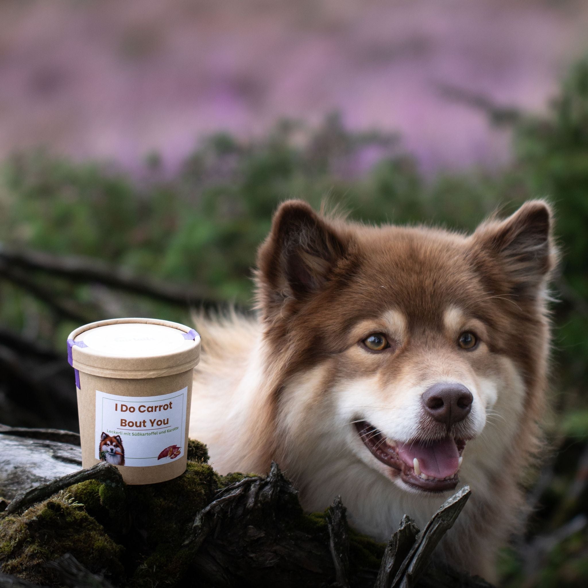 Fairtails I Do Carrot Bout You - Vegane Leckerli mit Süßkartoffel und Möhre (100g)