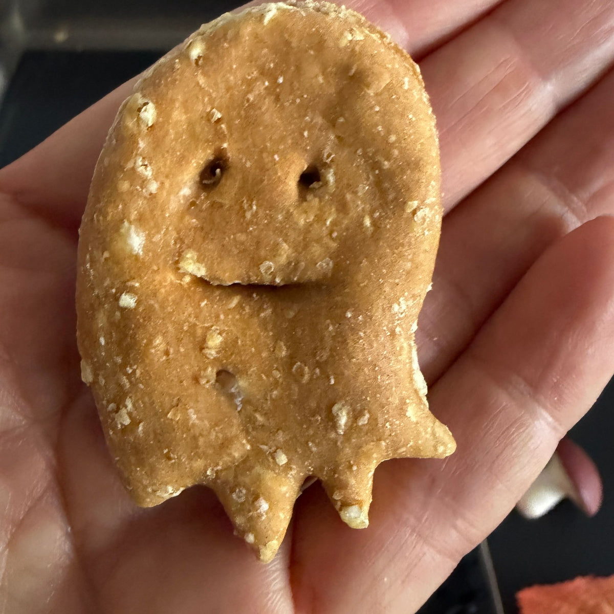 Vegane Hundekekse - Ghosties Halloween bei Fairtails