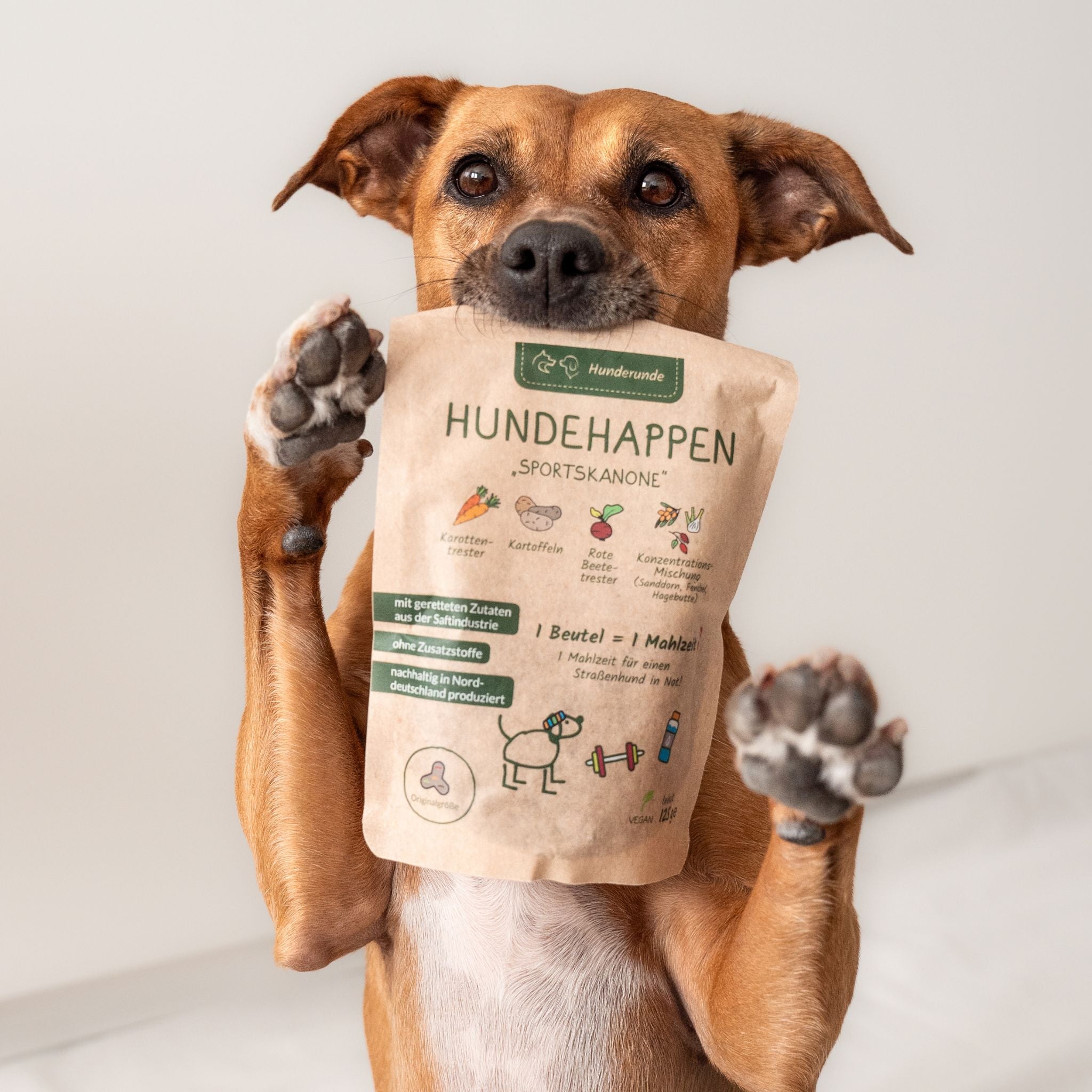 Hunderunde Hundehappen Probierpaket - vegane Hundeleckerli (3 x 125g)