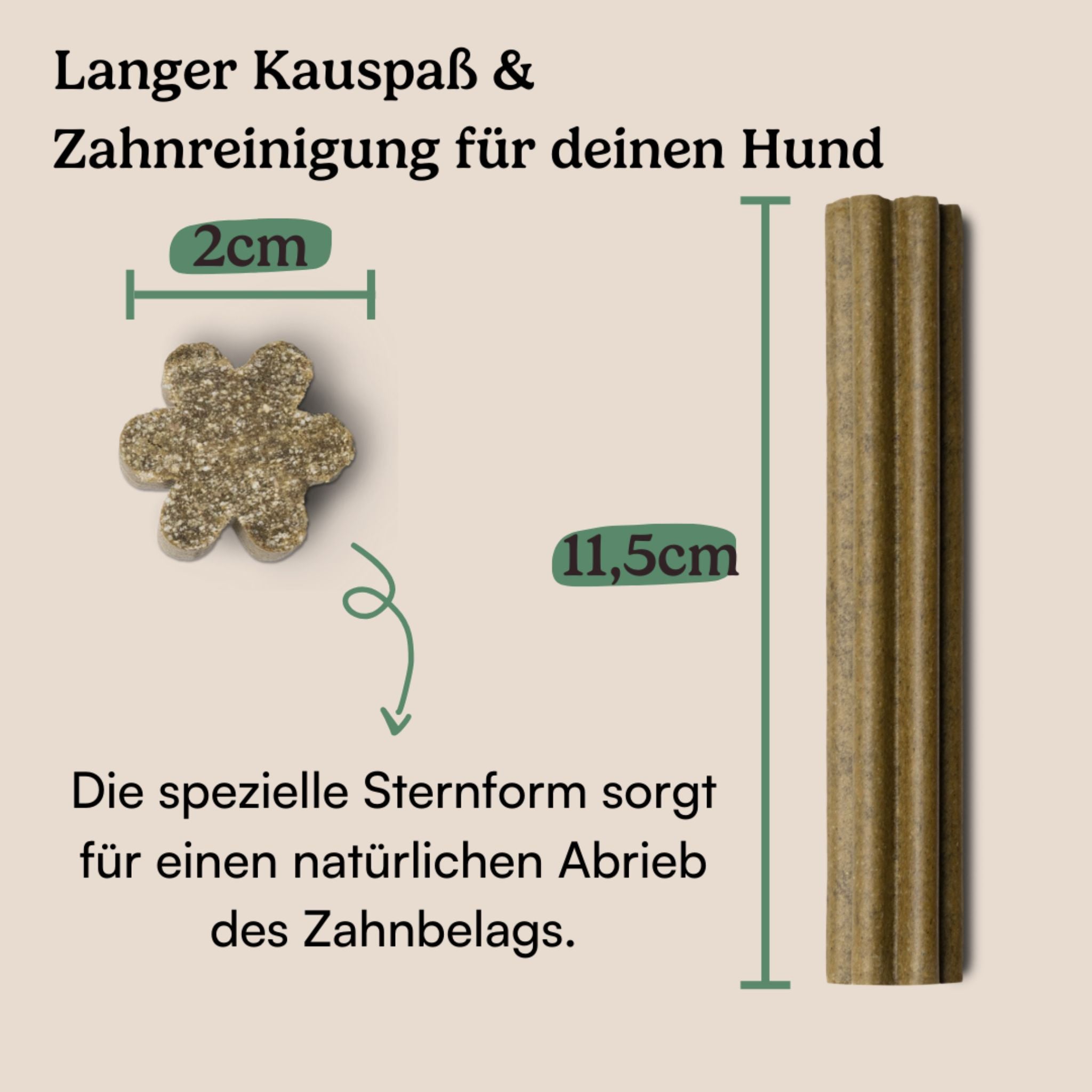 Hunderunde "Zahnfee" - vegane Kausticks bei Fairtails