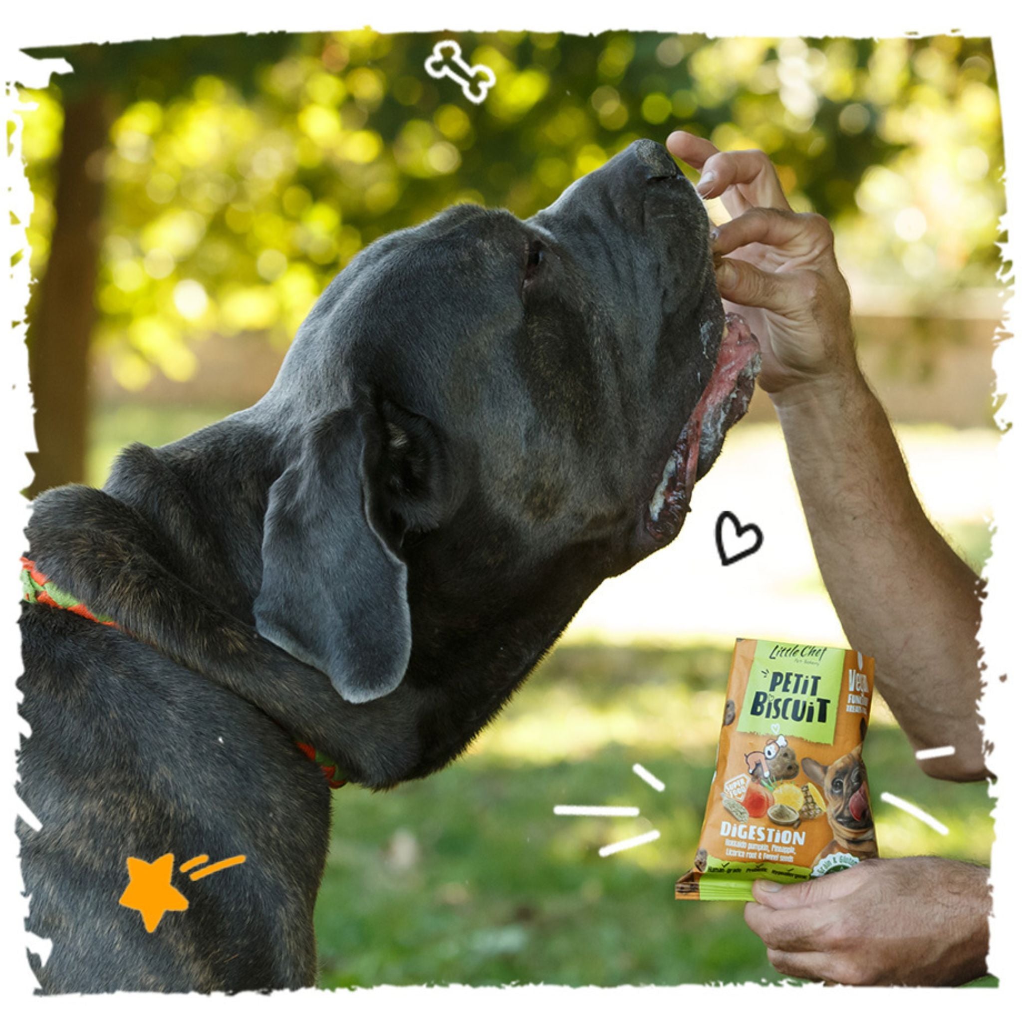 Little Chef Digestion Support - vegane Hundekekse mit Superfoods bei Fairtails
