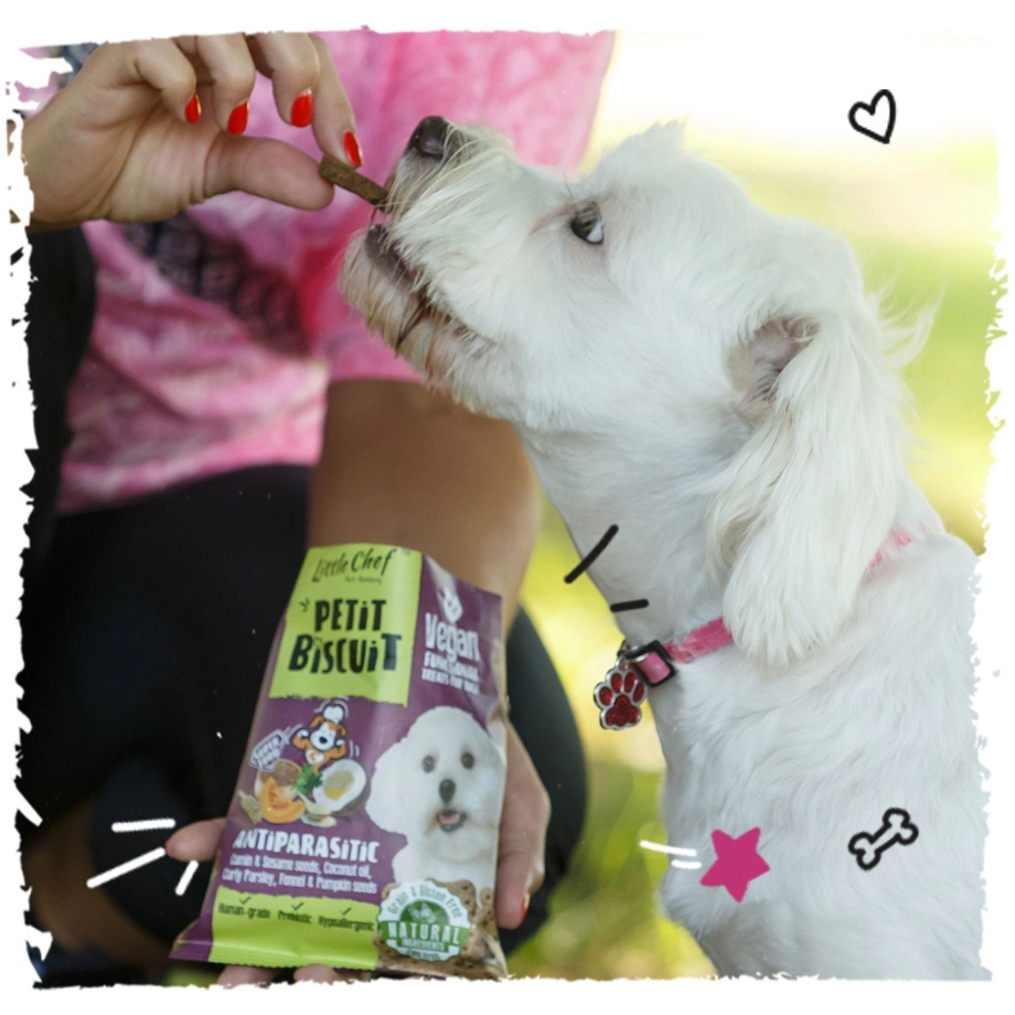 Little Chef Petit - Bisquit vegane Hundekekse bei Fairtails