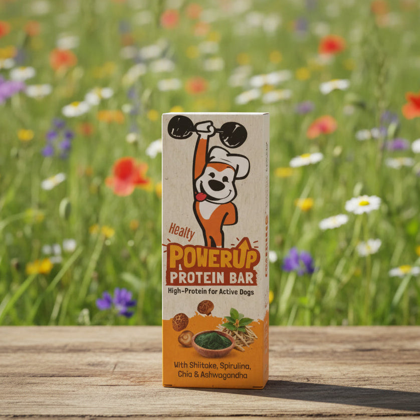 Vegane Proteinriegel für Hunde bei Fairtails