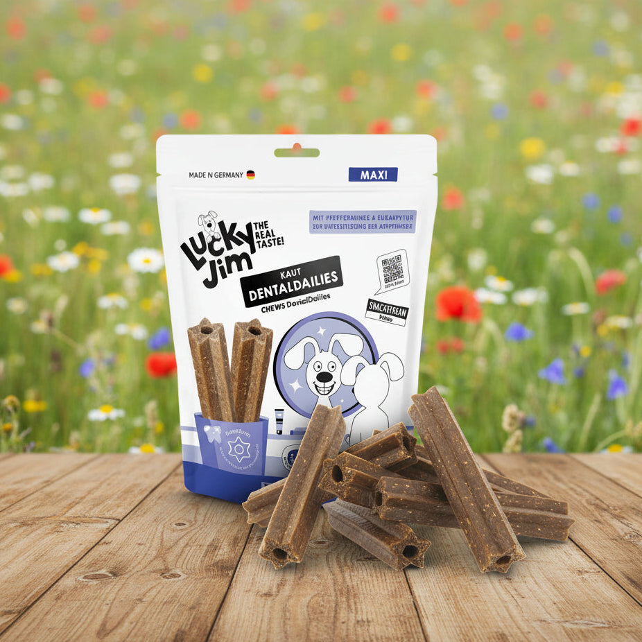 Lucky Jim Dental Dailies vegane Kauartikel bei Fairtails