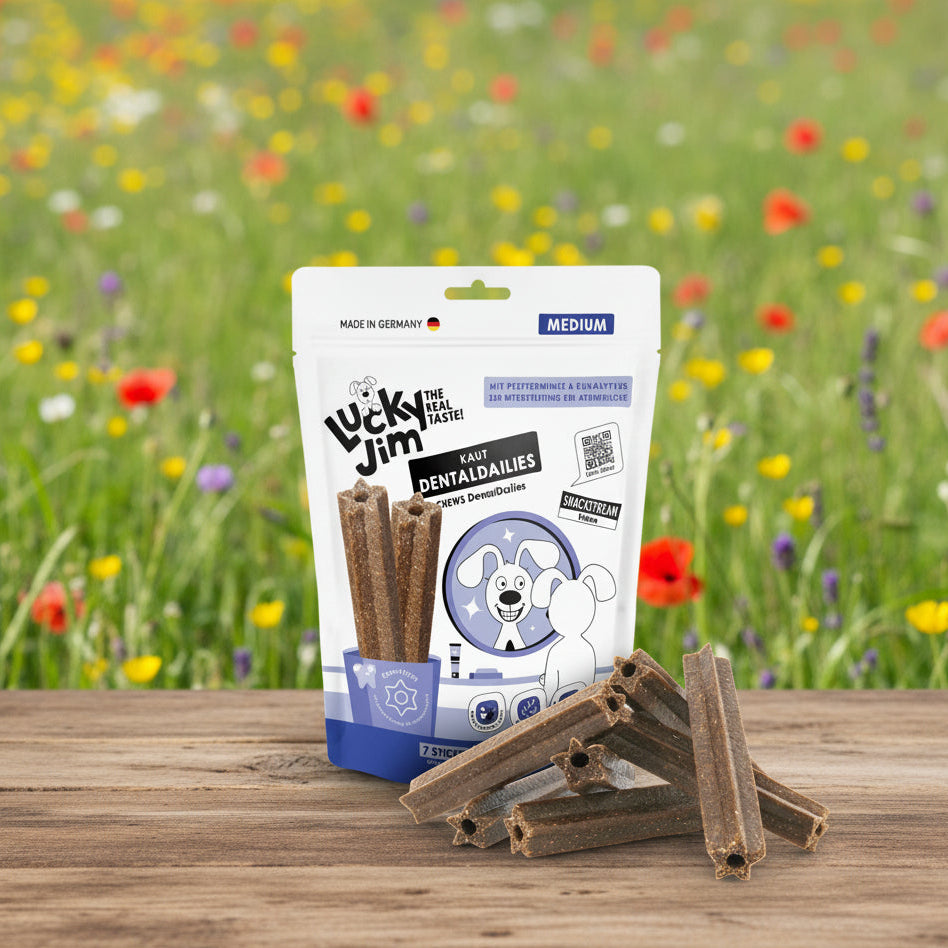Lucky Jim Dental Dailies vegane Kauartikel bei Fairtails