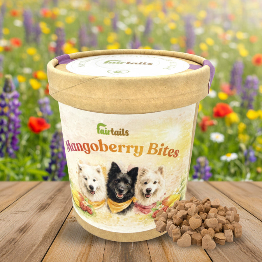 Vegane Hundeleckerli Mango Himbeere Fairtails