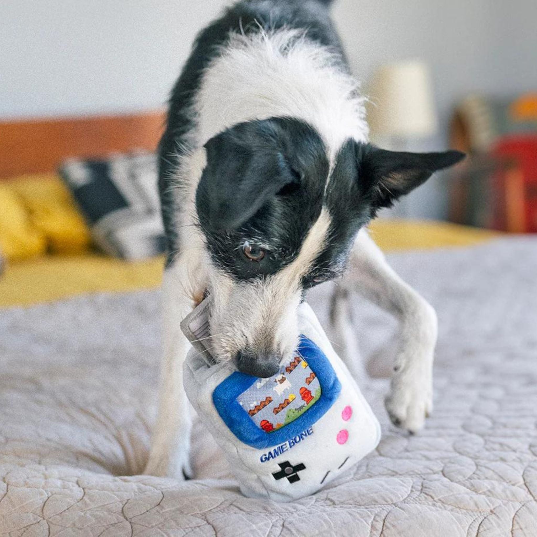 P.L.A.Y. Hundespielzeug Game Boy- Plüschspielezug Hund bei Fairtails