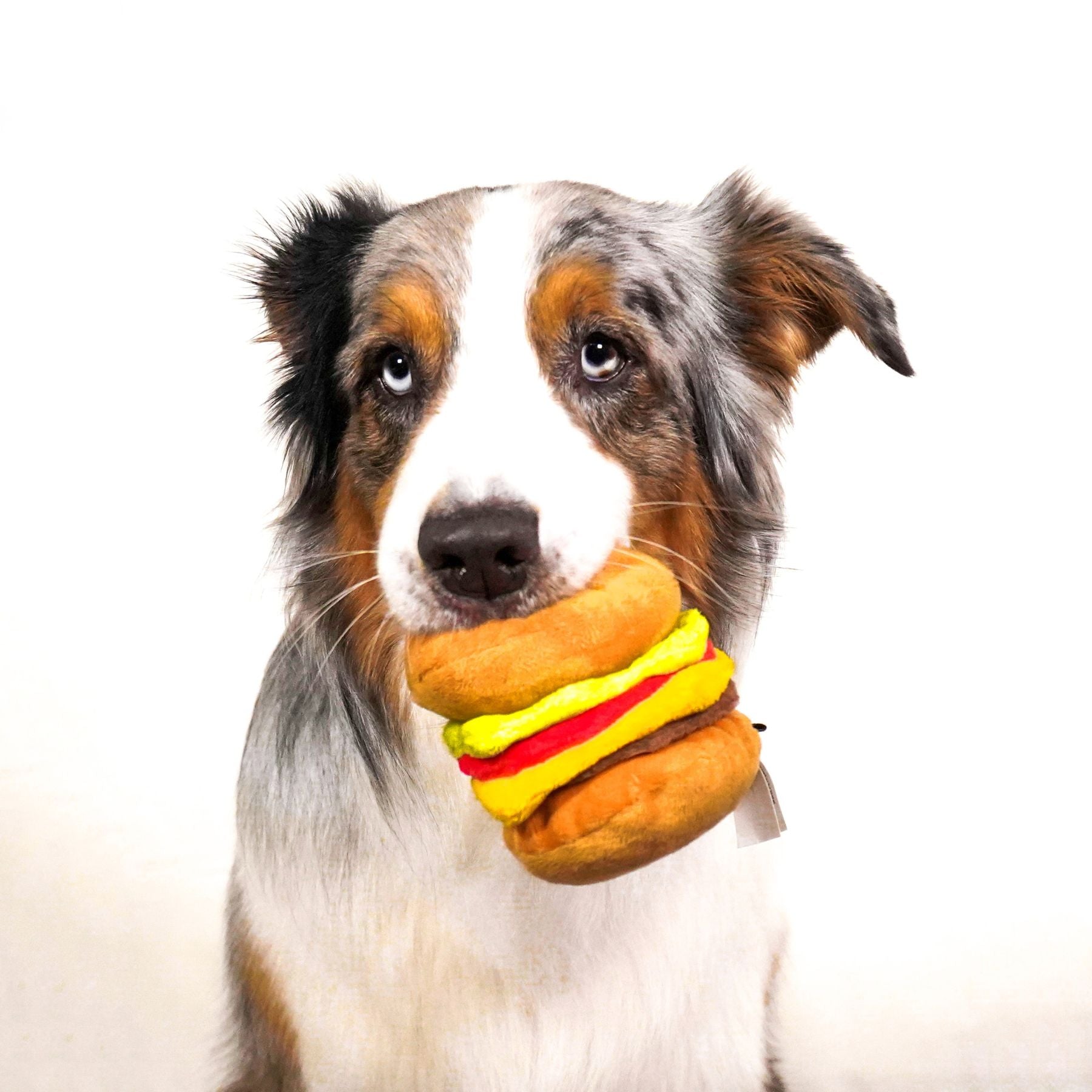Play Hundespielzeug - nachhaltiges Hundespielzeug bei Fairtails