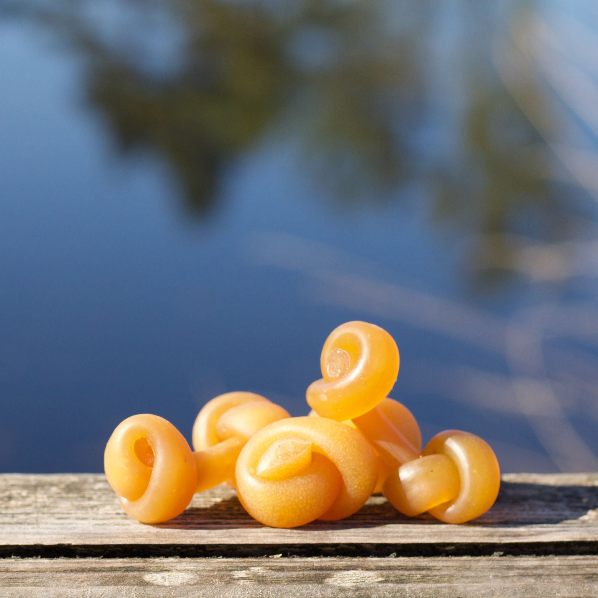 Camon Bones - vegane Kausnacks mit Süßkartoffel und Reis