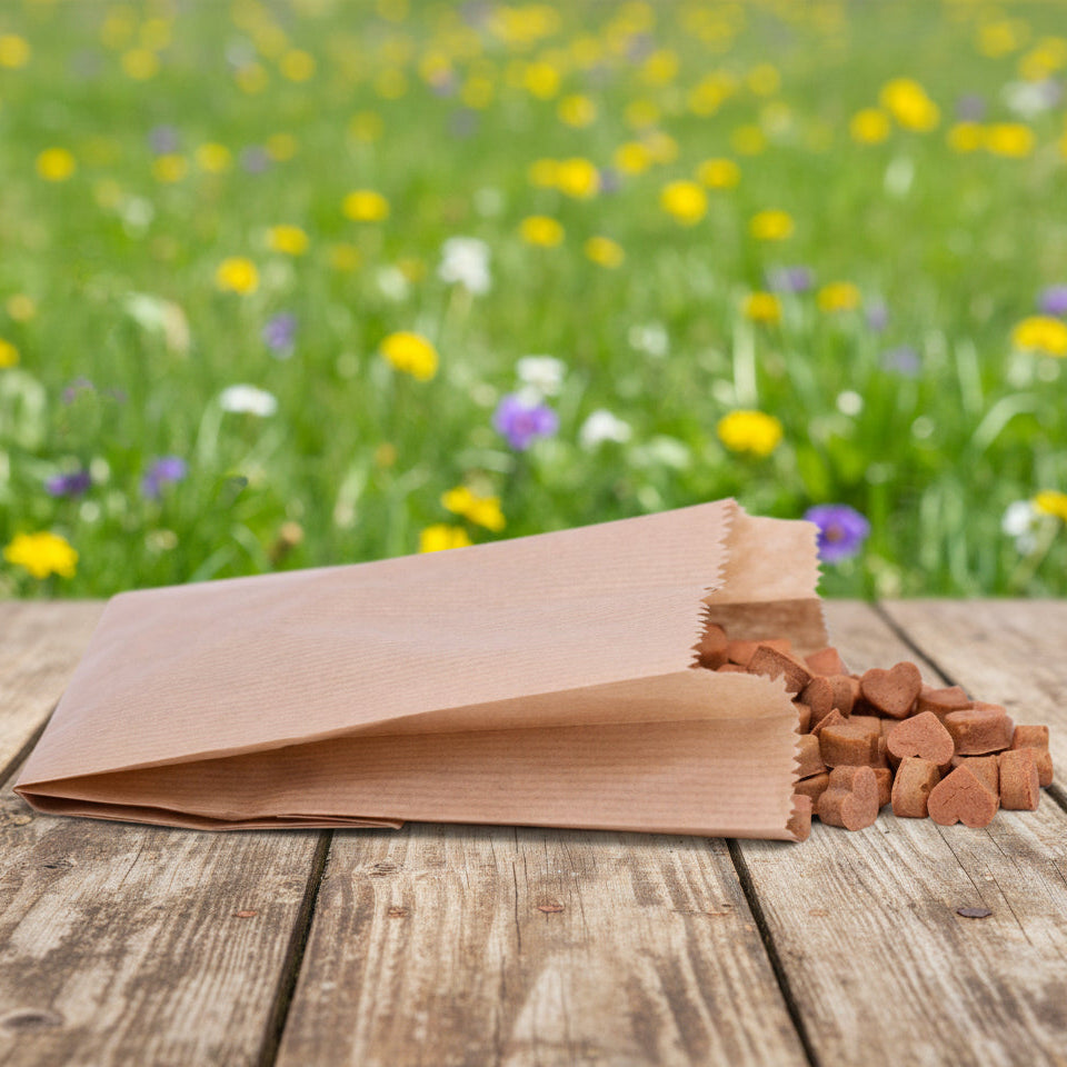 Vegane Hundeleckerli aus Kürbis bei Fairtails