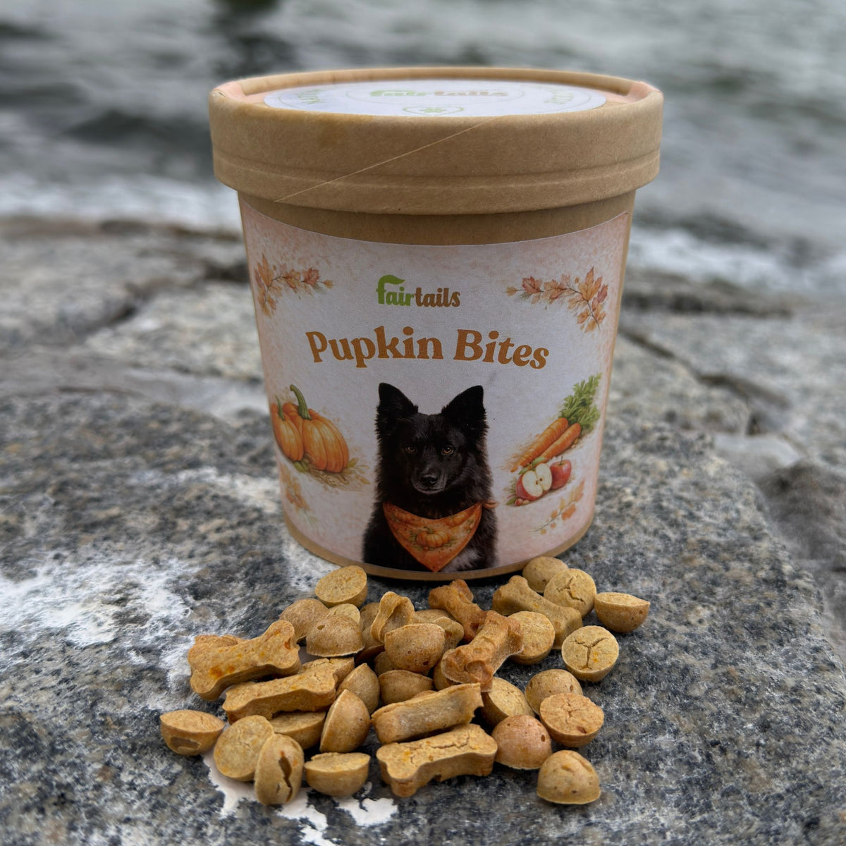 Vegane Hundeleckerli aus Kürbis bei Fairtails