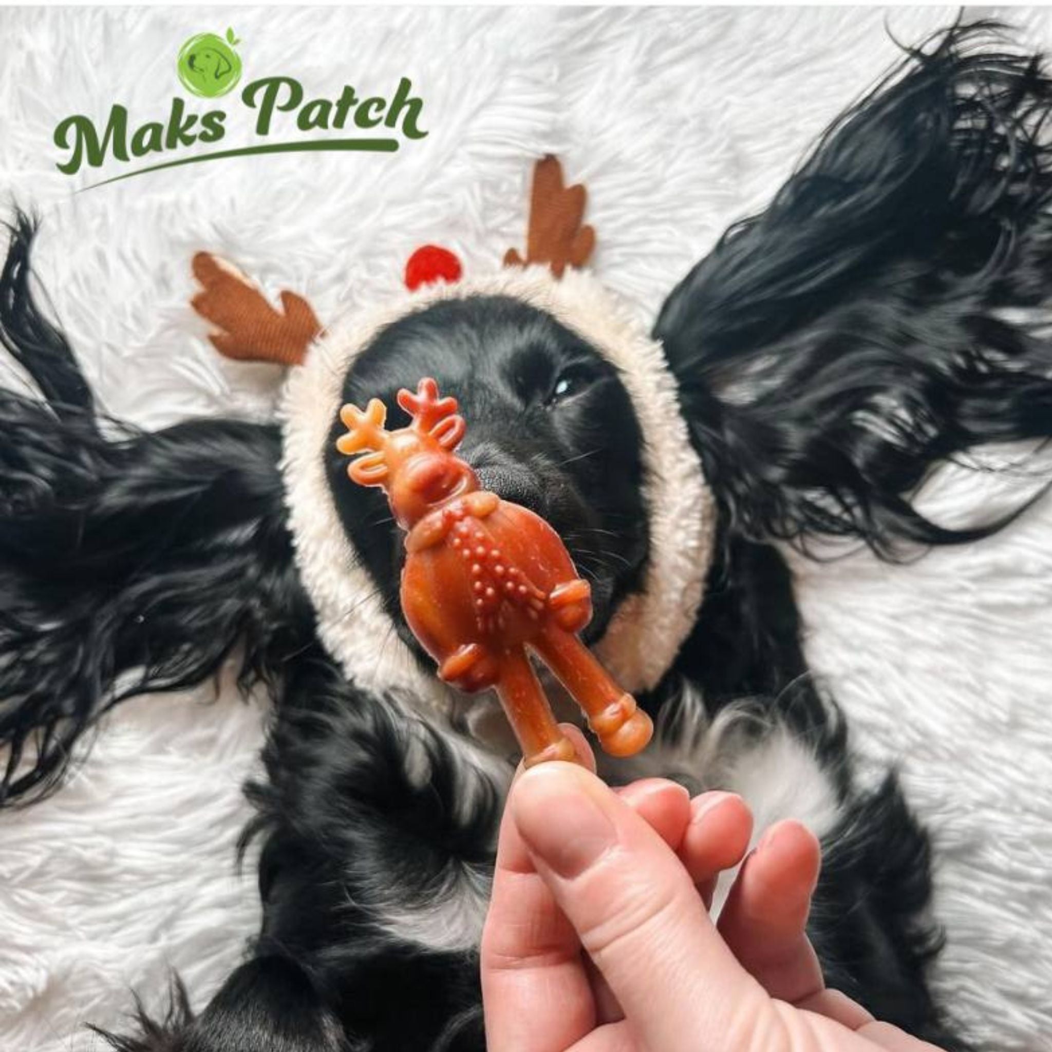 Rudolph & Gingy Small - vegane Weihnachtssnacks für Hunde