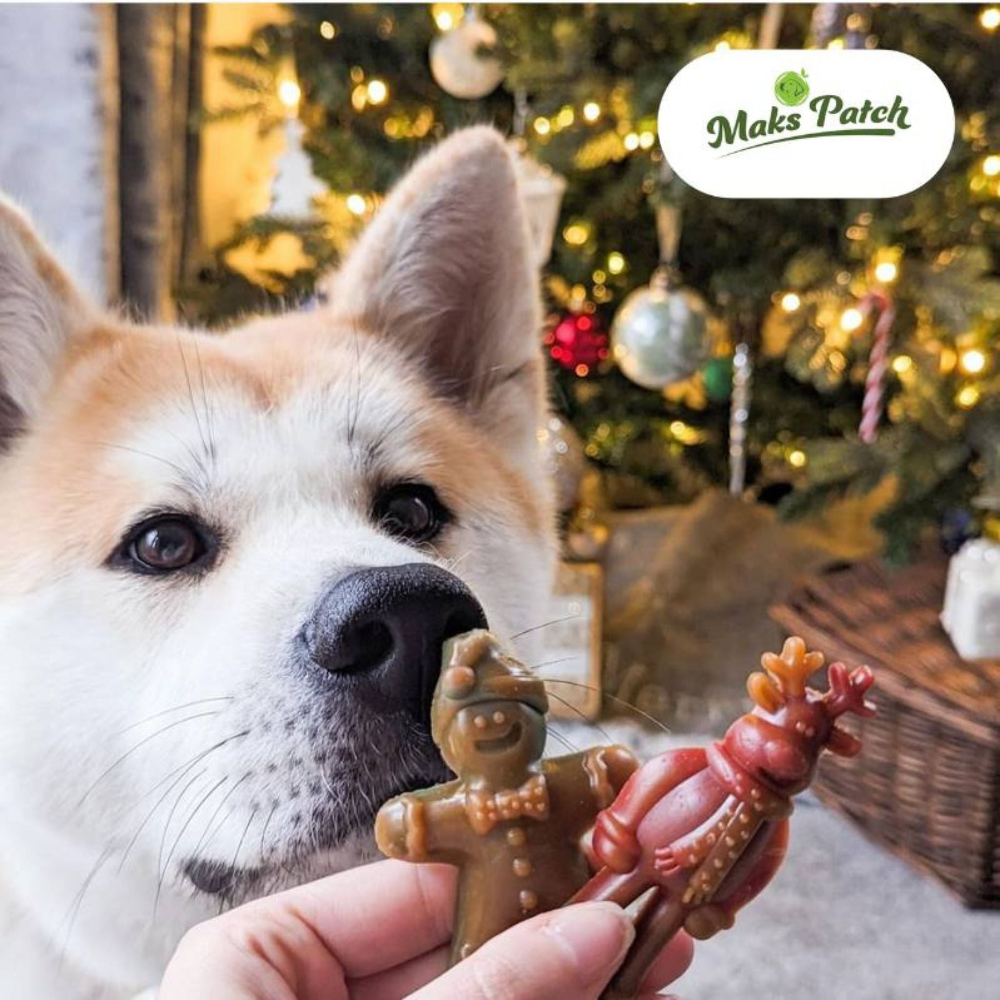 Rudolph & Gingy Small - vegane Weihnachtssnacks für Hunde