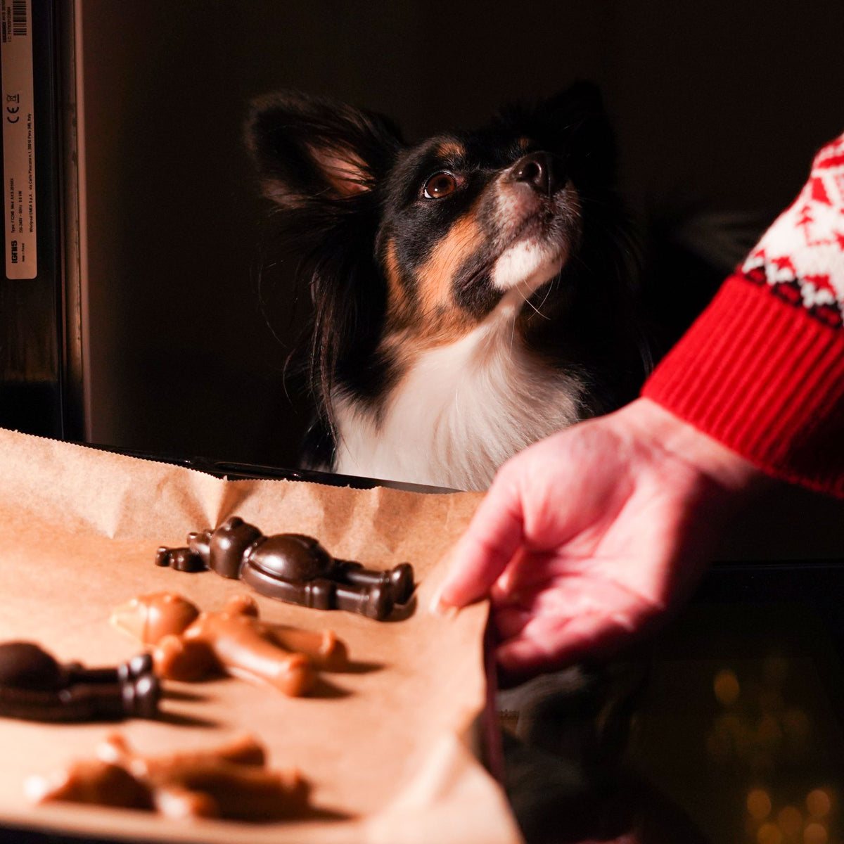 Rudolph und Gingy - weihnachtliche Snacks für Hunde bei Fartails