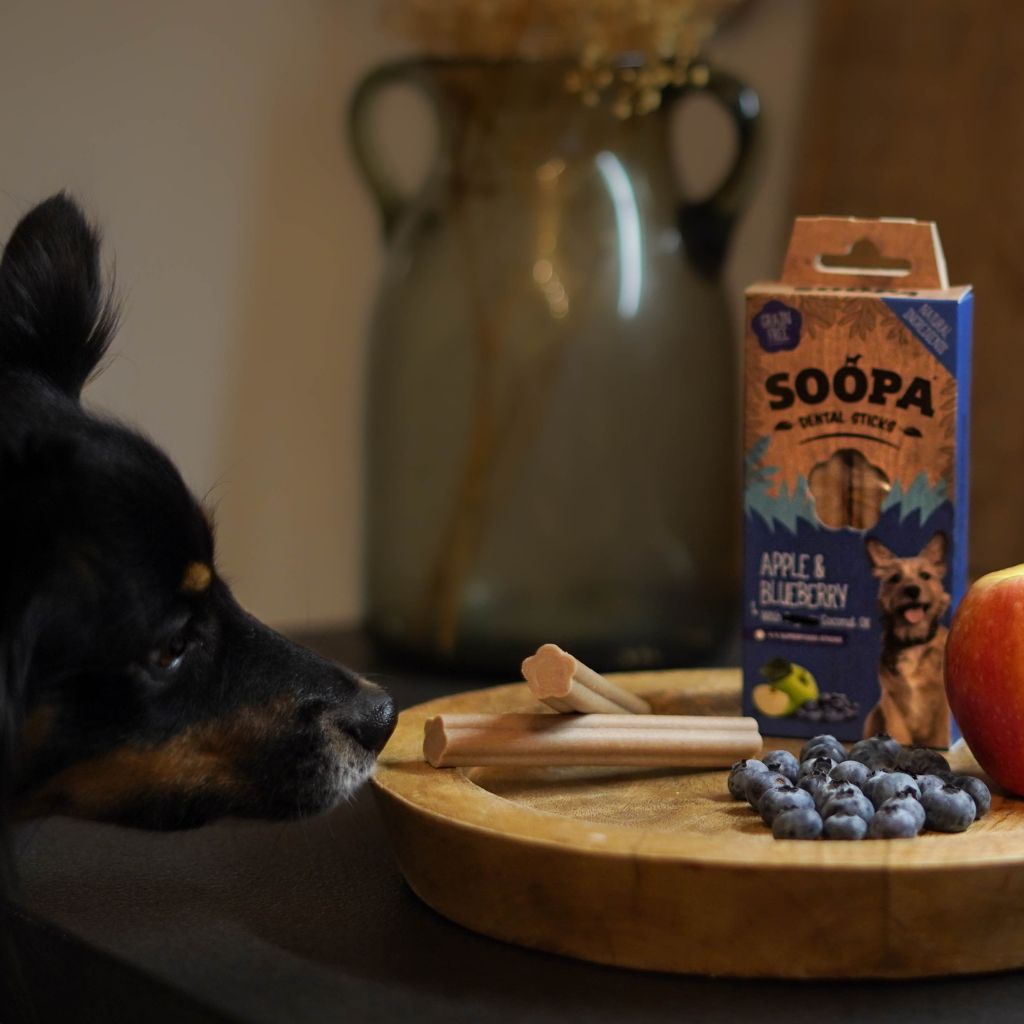 Soopa Dental Sticks Blaubeere und Apfel, Vegane Kauartikel Hund Fairtails