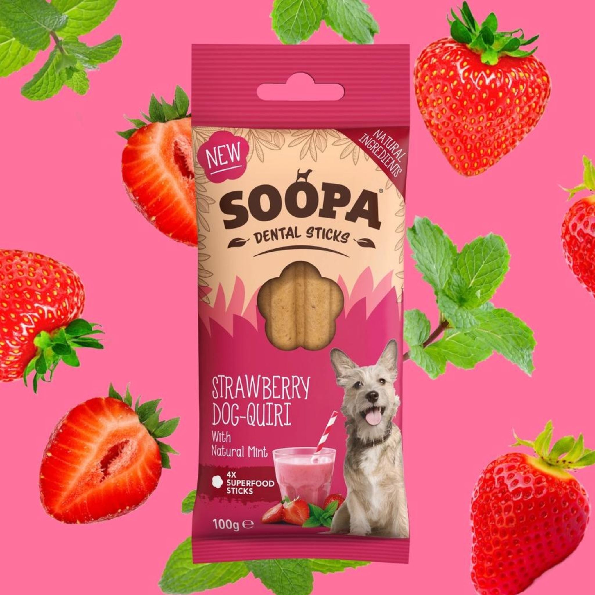 Soopa Pets Dog-Quiri Dental Sticks - vegane Kausticks mit Erdbeere und Kokos bei Fairtails